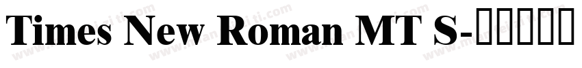 Times New Roman MT S字体转换